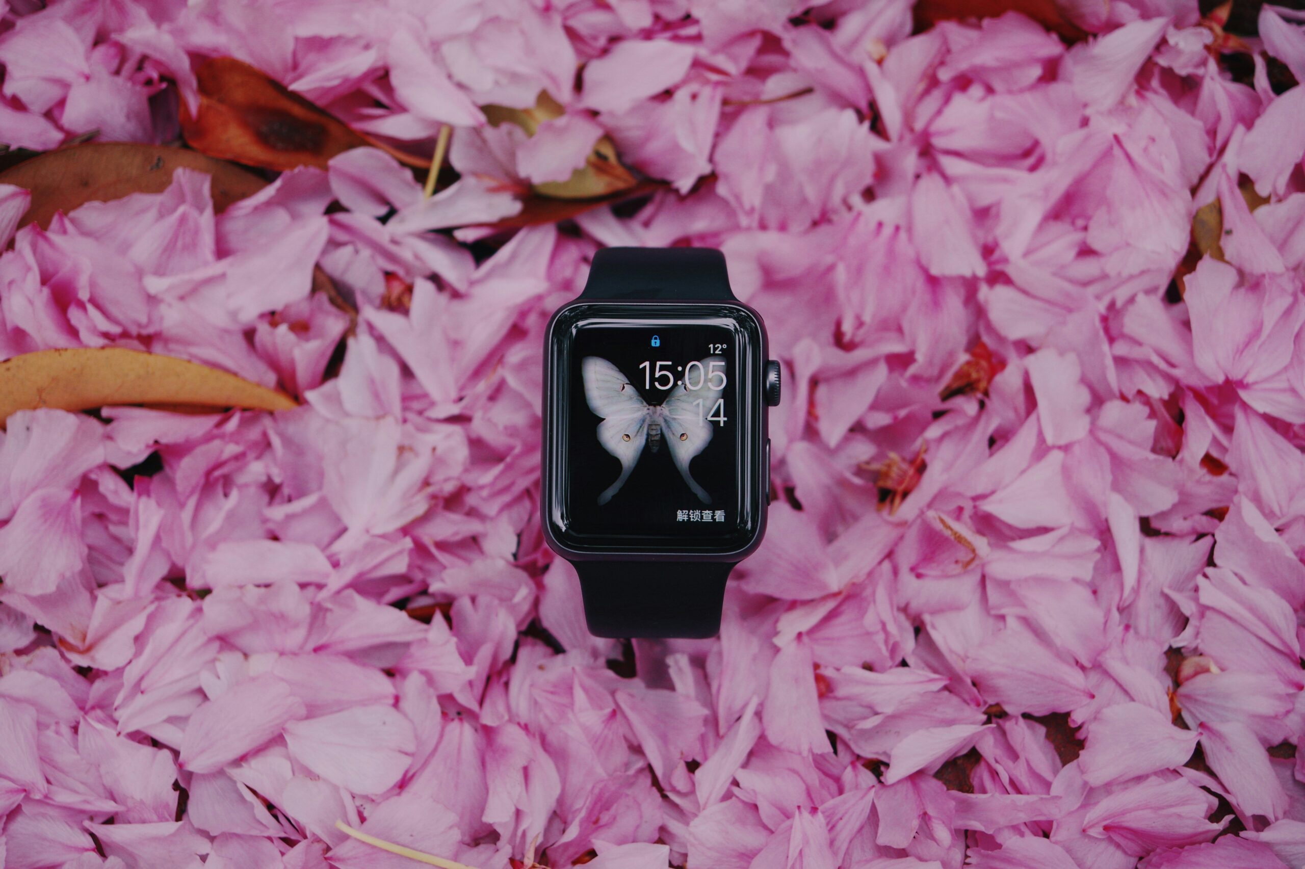 Tech Trends 2024: Why Watch Calculators Are Making a Comeback in Wearable Technology