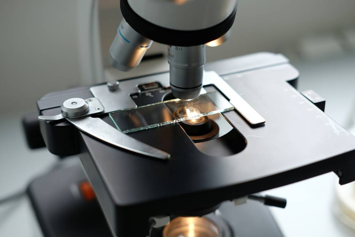 STEM Watch Gadget: Why Your Wrist Might Be the Smartest Tool in the Lab